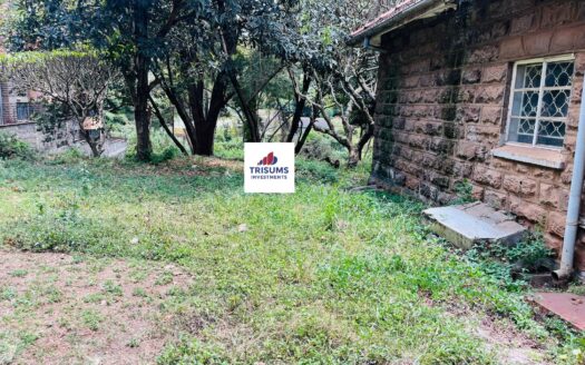 Commercial Property To Let In Kilimani